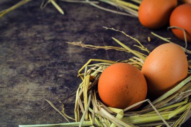 Nest tavuk yumurta ahşap arka plan üzerinde kahverengi yumurta