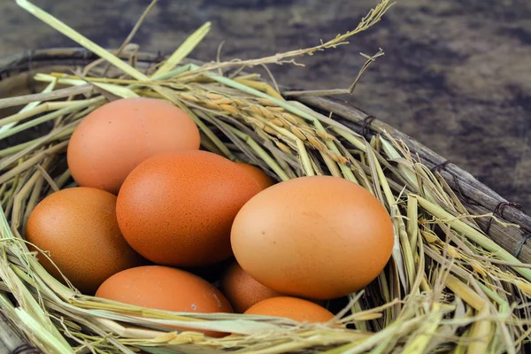 Barna tojás a fészek tyúktojás fából készült háttér — Stock Fotó