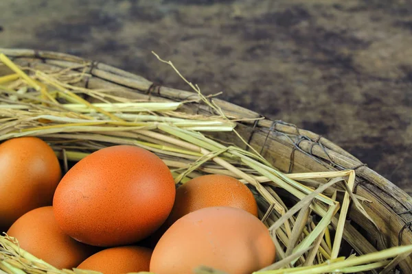 Nest tavuk yumurta ahşap arka plan üzerinde kahverengi yumurta