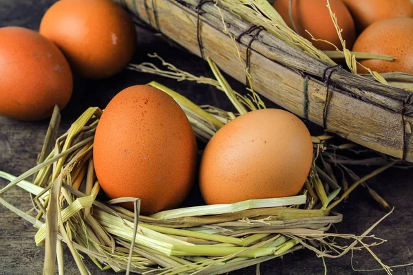 Oeufs bruns dans les œufs de poule de nid sur fond en bois — Photo