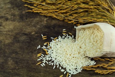 pirinç bitkileri ile arka plan üzerinde beyaz pirinç