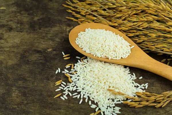 pirinç bitkileri ile arka plan üzerinde beyaz pirinç