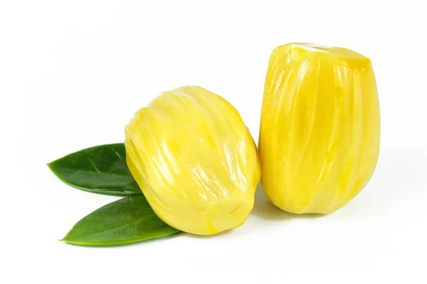 nefesi ve beyaz arka plan üzerinde izole tohum