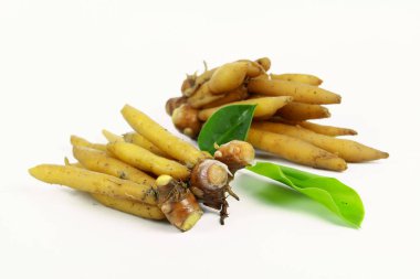 kök malzemeler için Tayland Mutfağı beyaz arka plan üzerinde parmak.