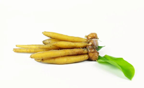 Корень пальца Ингредиенты для тайской кухни на белом фоне — стоковое фото