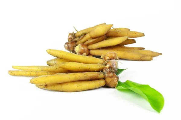 Finger root Ingredientes para la cocina tailandesa sobre fondo blanco —  Fotos de Stock