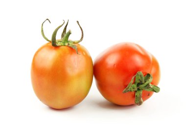 Beyaz arka planda yeşil yapraklı taze domatesler.