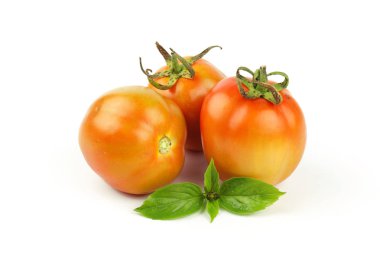 Beyaz arka planda yeşil yapraklı taze domatesler.