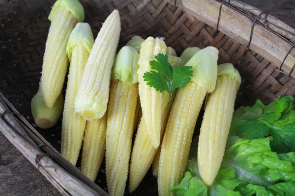 Baby corn with dew drop prepare for cooking — Stock Photo, Image