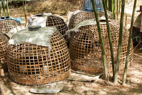 tavuk coop Tay tarzı dövüş horozu Bahçe ile