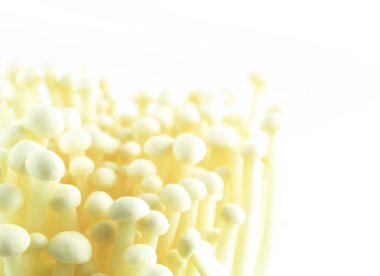 taze beyaz enoki mantar, altın iğne mantar