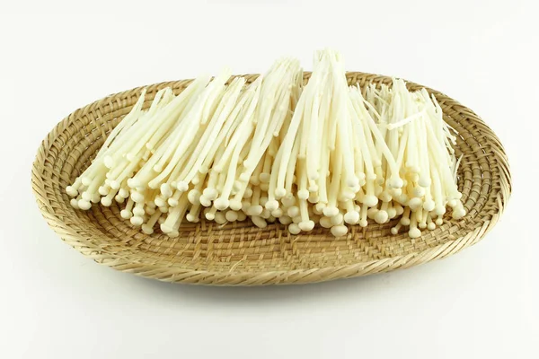 Verse witte enoki paddenstoel, gouden naald paddestoel — Stockfoto