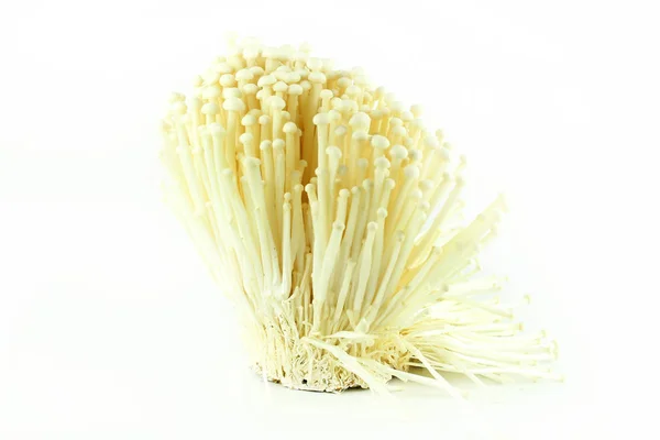 Champignon enoki blanc frais, champignon aiguille dorée — Photo