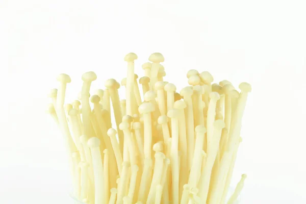 Fresh white enoki mushroom, Golden needle mushroom — Stock Photo, Image