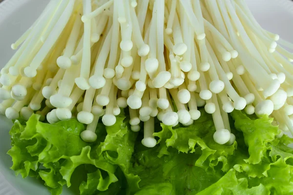 Verse witte enoki paddenstoel, gouden naald paddestoel — Stockfoto