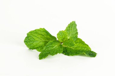 Nane yaprağı, aromatik bitkiler. Dondurma ve bitki çayı yapımında kullanılır.