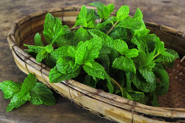 Daun mint, rempah-rempah aromatik, digunakan sebagai bahan untuk membuat es krim dan teh herbal — Stok Foto