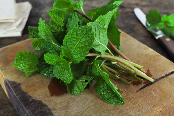Daun mint, rempah-rempah aromatik, digunakan sebagai bahan untuk membuat es krim dan teh herbal — Stok Foto