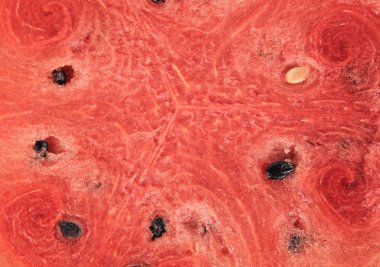 Kırmızı karpuz bir bütün ve nane yaprağıyla dilimlenmiş.