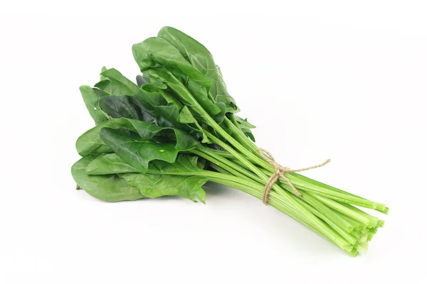 Frischer Spinat, viel Eiweiß und Aminosäuren — Stockfoto
