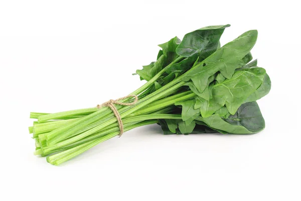 新鲜菠菜、 高蛋白质和氨基酸 — 图库照片