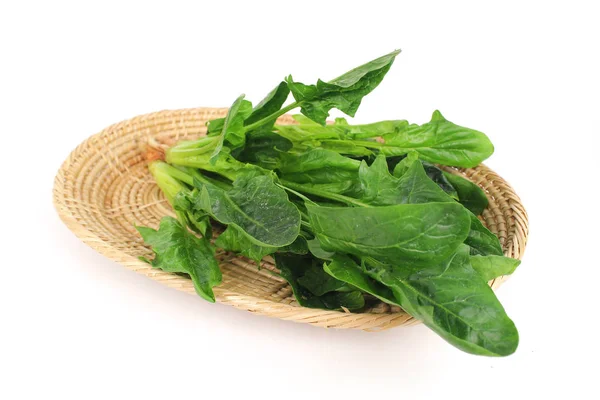 Fresh spinach, high protein and amino acids — Stock Photo, Image