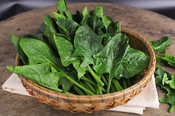 Verse spinazie, hoge eiwitten en aminozuren — Stockfoto
