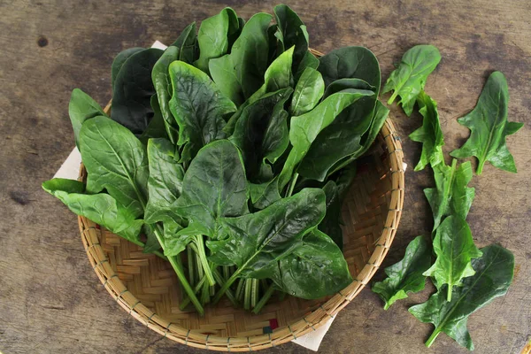 Fresh spinach, high protein and amino acids — Stock Photo, Image