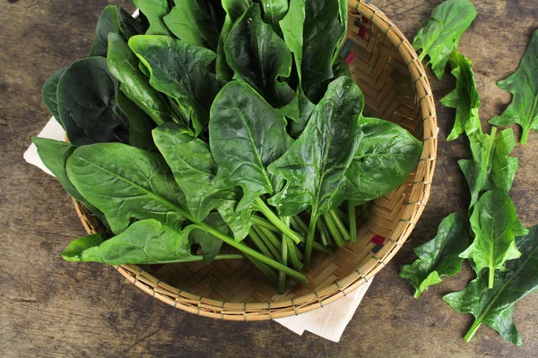 Fresh spinach, high protein and amino acids — Stock Photo, Image