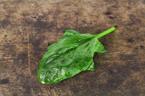 Spinaci freschi, proteine e aminoacidi — Foto Stock