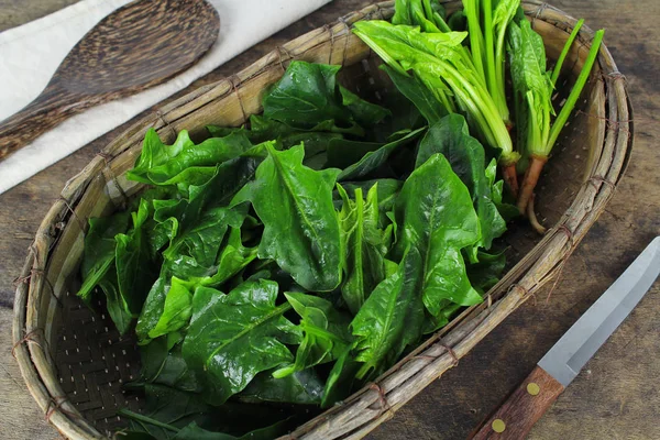 Fresh spinach, high protein and amino acids — Stock Photo, Image