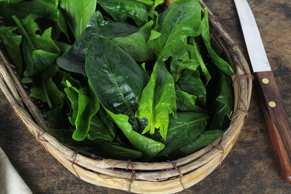 Fresh spinach, high protein and amino acids — Stock Photo, Image