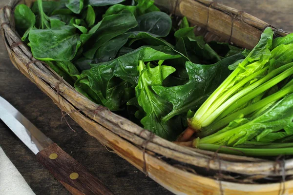 Fresh spinach, high protein and amino acids — Stock Photo, Image