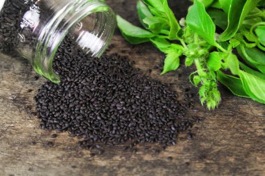 ham fesleğen tohumu, Tay, herb bir müshil olarak sindirime yardımcı olur.
