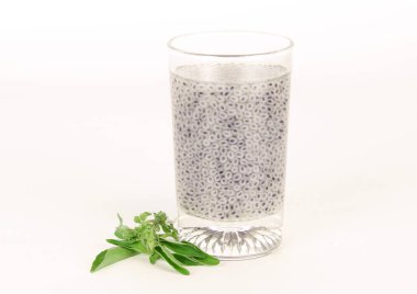 fesleğen tohumu emmek su, ot Tayland içinde