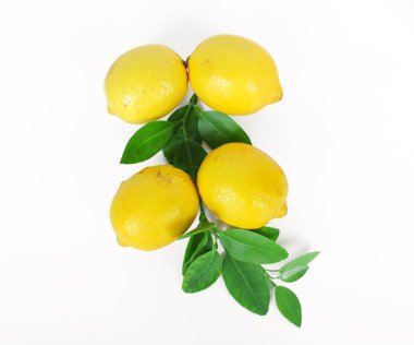 taze limon bütün ve dilim limon yaprak ile