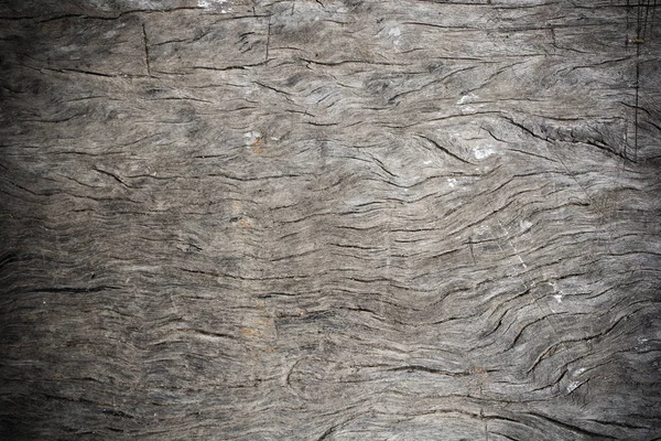 Texture of bark wood use as natural background — Stock Photo, Image