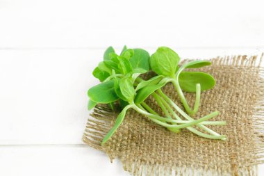 Organik ayçiçeği izole üzerinde beyaz arka plan lahanası