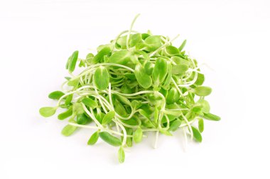 Organik ayçiçeği izole üzerinde beyaz arka plan lahanası