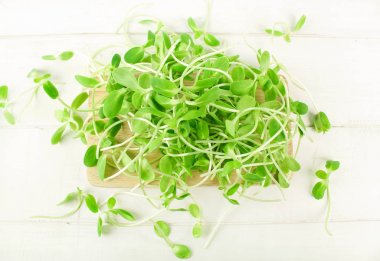 Organik ayçiçeği izole üzerinde beyaz arka plan lahanası