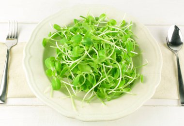 Organik ayçiçeği izole üzerinde beyaz arka plan lahanası