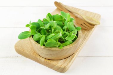 Organik ayçiçeği izole üzerinde beyaz arka plan lahanası