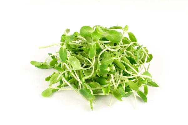 Organic sunflower sprouts isolated on white background — Stock Photo, Image
