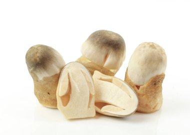 Dilimlenmiş saman mantar beyaz arka plan üzerinde izole