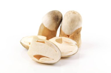 Dilimlenmiş saman mantar beyaz arka plan üzerinde izole