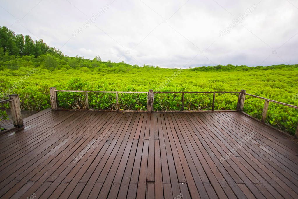 Wooden bridge in mangrove field, boardwalk in Tung Prong Thong, Rayong, Thailand