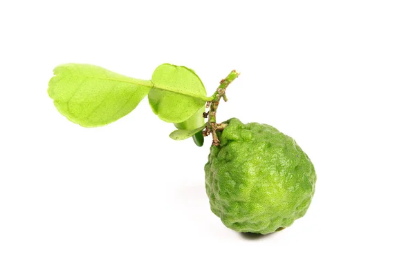 Kaffir lime and kaffir lime leaf on white background — Stock Photo, Image
