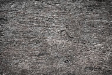 Kabuk yüzeyi doğal bir arka plan olarak kullanılan