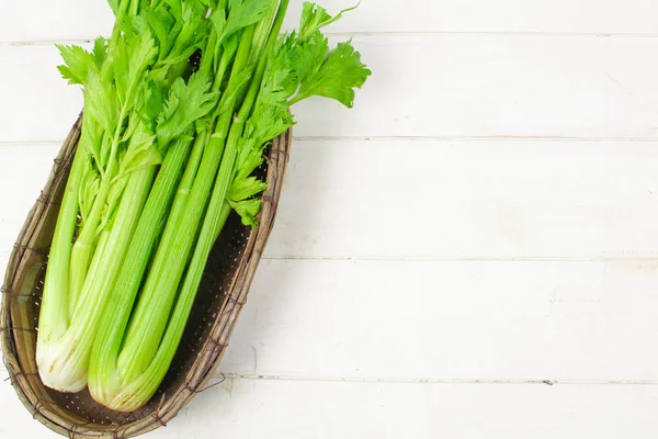 Verse groene selderij geïsoleerd op witte achtergrond — Stockfoto