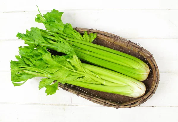 Verse groene selderij geïsoleerd op witte achtergrond — Stockfoto